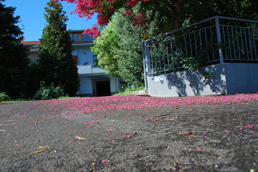 Bianco Nuvola Bed and Breakfast Montecchio  Δωμάτιο φωτογραφία